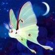 Icono de programa: Flutter: Starlight