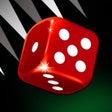 Icon of program: Backgammon Play Live Onli