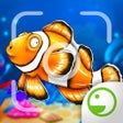 Icono del programa: Fishy Ola - Fish Paparazz…