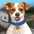 Icono del programa: Animal Shelter Simulator