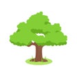 Icono de programa: Afforestation