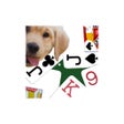 Icon of program: K9 Euchre: Trick Card Gam…