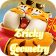 Icon of program: Tricky Geometry