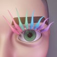 Icon of program: Eyelash Stack