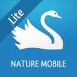 Icono del programa: iKnow Birds 2 LITE