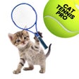 Icono del programa: Cat Tennis Pro