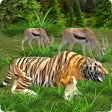 Icon of program: Wild Tiger Simulator