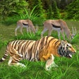 Icon of program: Wild Tiger Simulator