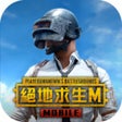 Icon of program: PUBG MOBILE絕地求生M