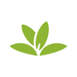 Icon of program: PlantNet Plant Identifica…