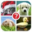 Icono de programa: Guess the word  4 Pix rid…