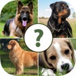 Icon of program: Pups Pet Trivia Pro