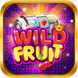 Icon of program: Wild Fruit Spin Fever