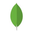 Icon of program: MongoDB