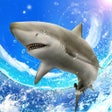 Icono del programa: Wild Shark Fishing