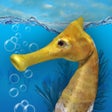 Icono del programa: Seahorse 3D