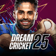 Icon of program: Dream Cricket 2024