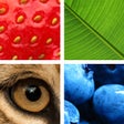 Icon of program: Quiz Pic: Close Ups