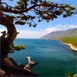 Icono de programa: Lake Baikal