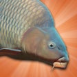 Icono de programa: Carp Fishing Simulator