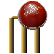 Icono de programa: Cricket 3D