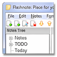 Icon of program: Flashnote Portable