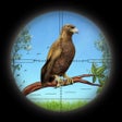 Icon of program: FPS Hunter: Bird Hunting …