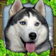 Icon of program: Stray Dog Simulator