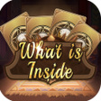 Icon of program: What Is Inside