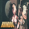 Icono de programa: Ruindog