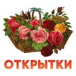 Icon of program: Открытки на все случаи