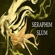 Icono de programa: Seraphim Slum