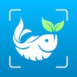 Icon of program: Fish Identifier ID Fish V…