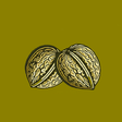 Icon of program: Nuts