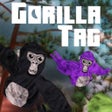 Icono de programa: Gorilla Tag