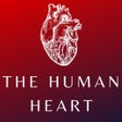 Icon of program: Heart Anatomy and Physiol…