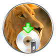 Icono de programa: Lion Disk Maker