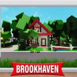 Icono de programa: Brokhaven New House Game