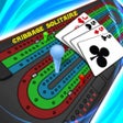 Icono de programa: Cribbage Solitaire Challe…