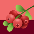 Icon of program: Cranberry VPN