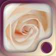 Icon of program: Love  Intimacy Hypnosis