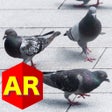 Icon of program: Anywhere Pigeon AR