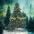 Icon of program: 脱出ゲーム　HolyNight6