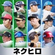 Icono del programa: プロ野球ネクストヒーローズ