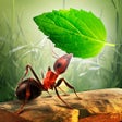 Icon of program: Little Ant Colony - Idle …