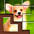 Icono de programa: Jigsaw Puzzle Blocks