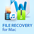 Icono de programa: Jihosoft File Recovery fo…