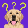 Icon of program: Dog Breeds: TrainingGames…