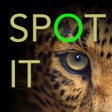 Icono de programa: Spot it Photo Hunt Game