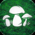 Icon of program: The Mushroom Hunter